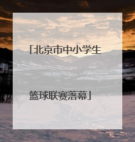 北京市中小学生篮球联赛落幕